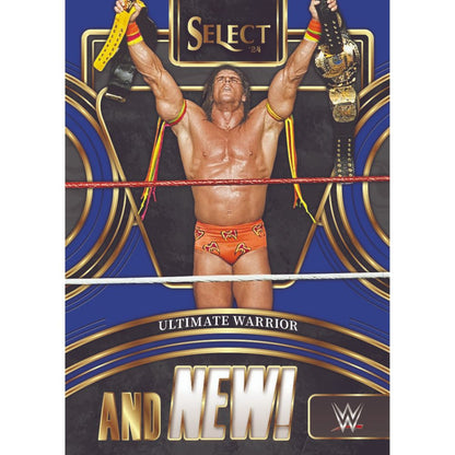 2024 Panini Select WWE Wrestling Hobby Box
